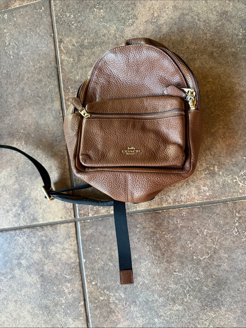 Coach Brown Pebbled Leather Mini Backpack with Gold Hardware